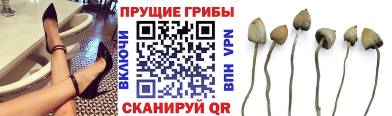 Галлюциногенные грибы мухоморы  Моздок 